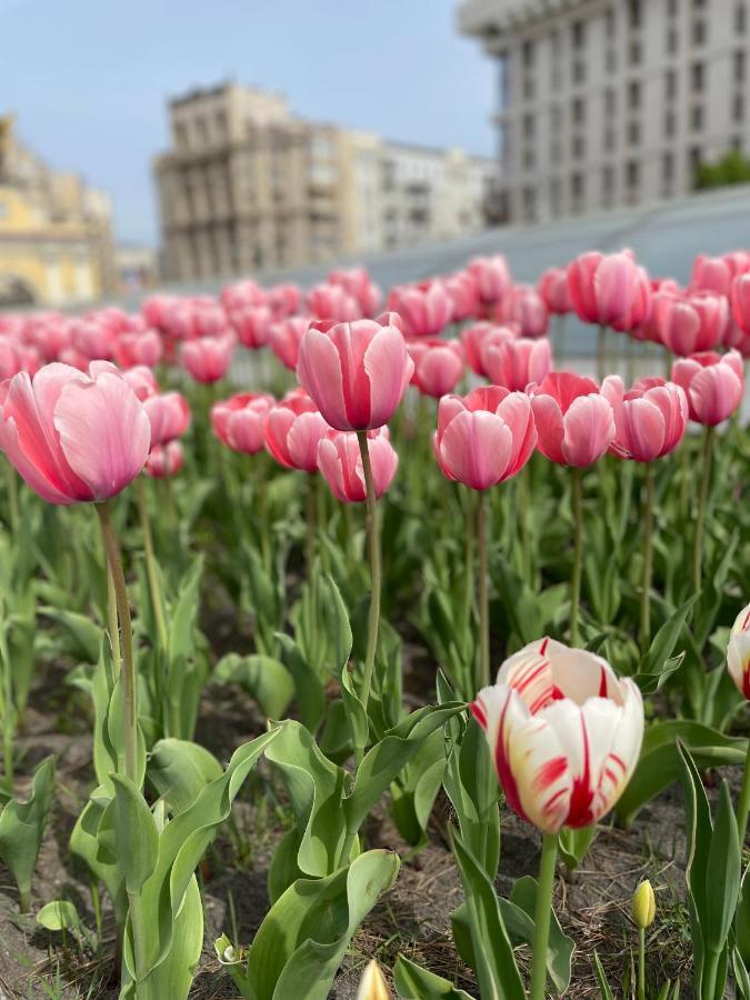 Однокімнатні Апартаменти На Майдані, Дистанційне Заселення 24Х7 Kiev Extérieur photo